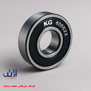 6005z-kg-beaing